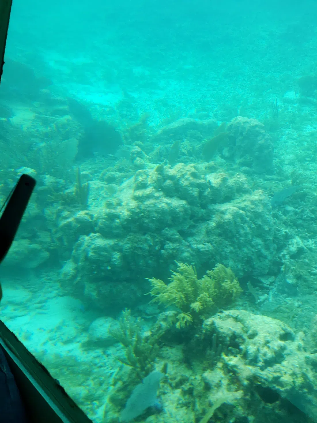 Aquaworld, Cancún