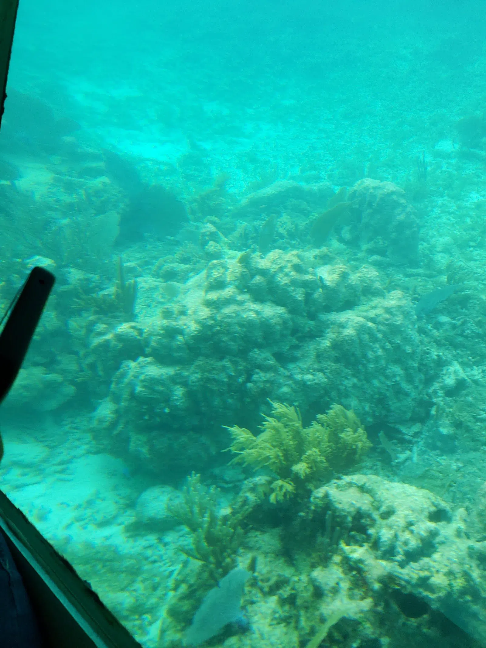 Aquaworld Cancún, Cancun