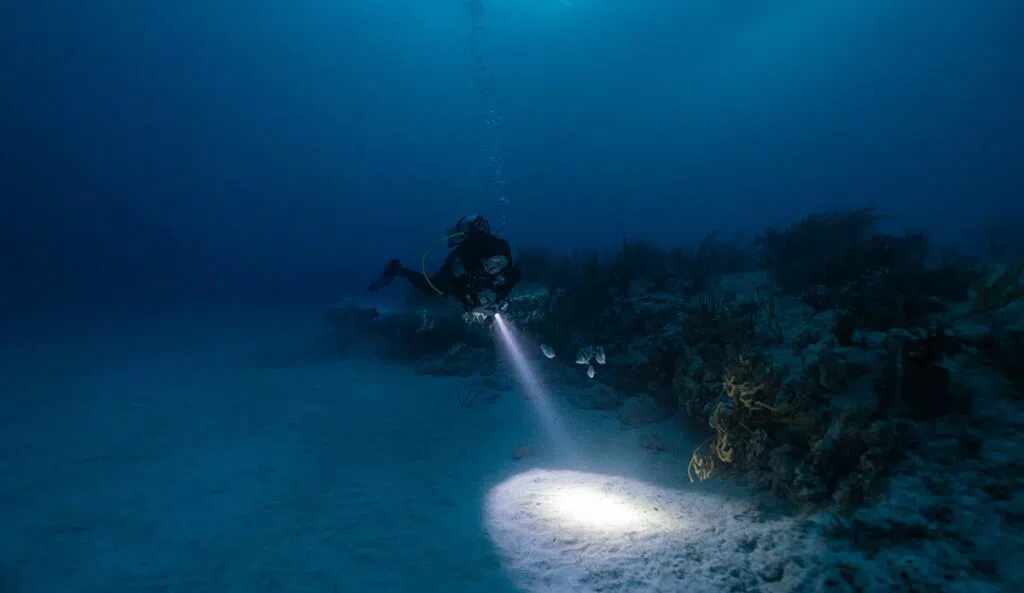 Manta Divers, Cancún